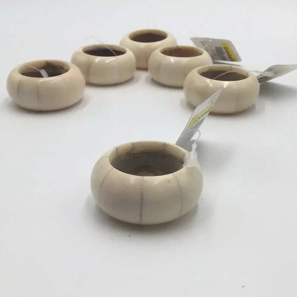Home Decor napkin holders (6) made out of bone NEW